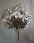 Tiger Lily Bush